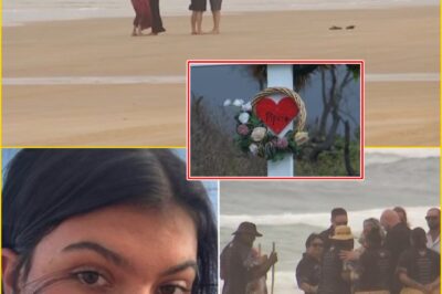 “Don’t Be Afraid, Mum and Dad Are Here”: Raw Grief as Piper James’ Family Collapse at Site of Her De-ath on K’gari