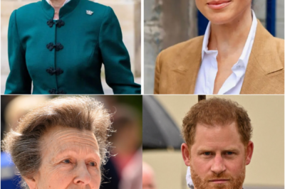 BREAKING NEWS: Princess Anne single-handedly dismantles Harry and Meghan’s entire UK comeback plan—exposing their hidden agenda in front of furious senior royals