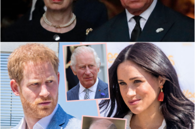 👑 PALACE POWER SHIFT: Princess Anne Reportedly Steps In as Sussex Reconciliation Narrative Unravels Behind Closed Doors