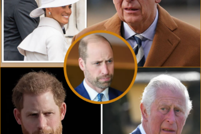PALACE AT BREAKING POINT: Prince William and King Charles Locked in a Bitter Standoff Over the Possibility of Harry and Meghan’s Return