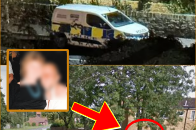 EXPLOSIVE DETAILS CONFIRMED: Police Reveal the Relationship Between Two B0dies Found Inside a Quiet Home