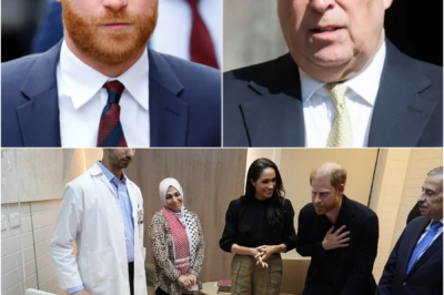 SILENCE SPEAKS LOUDER? Prince Harry Sidesteps Questions on Prince Andrew During Rare Jordan Interview