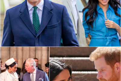 “SHE’S DESTROYING EVERYTHING…” — Meghan and Harry LOSE IT after their bid to convince King Charles to hand them Balmoral COLLAPSES. The Sussexes blame a powerful senior royal secretly pulling the strings behind the King, sabotaging reconciliation efforts.