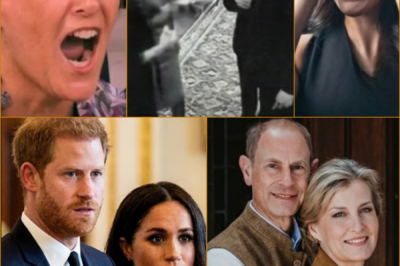 WHEN THE SMILES FROZE — AND THE ILLUSION FINALLY CRACKED ON LIVE TELEVISION –  What was meant to be a poised public appearance spiraled into a confrontation no one saw coming. Under the unforgiving studio lights, Duchess Sophie’s composure hardened as she delivered words that cut through months of speculation: “You cannot rewrite history because it no longer suits you. Some doors close for a reason