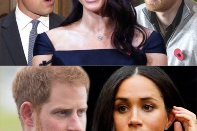 ‘She Deserves This’ — Prince Harry’s Alleged Secret Message to Prince William About Meghan’s Royal Privileges Sparks Palace Firestorm