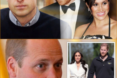 Royal Earthquake? Prince William Reportedly Moves to Strip Meghan Markle’s Title as Billion-Dollar Brand Faces Uncertain Future!