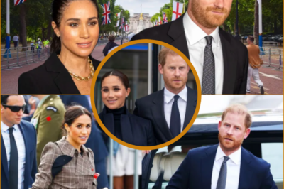 UNBELIEVABLE: HARRY WANTS TO BE DEPORTED FROM THE U.S. AS AN ESCAPE FROM LIFE IN MONTECITO AND MEGHAN MARKLE