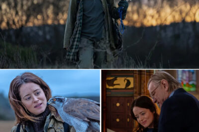 Claire Foy’s Emotional Turn in H Is For Hawk Leaves Critics Calling It a Deeply Moving Drama