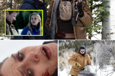 Netflix’s New Cr-i-me Thr-i-ller Stuns With 87% Score — Fans Say It’s More Intense Than Yellowstone and Sicario