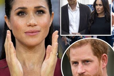 HARRY SNAPS BACK: Prince Harry Fires Off Angry Response After Being Told Spare and Meghan’s Netflix Series “Damaged His Brand” — Critics Say the Fallout From Their Media Blitz Is Still Growing