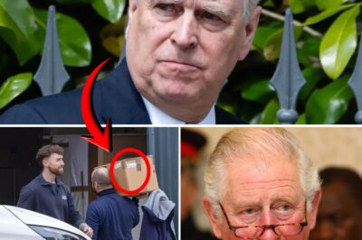 COLD-BL00DED STRIKE — Prince Andrew SHOCKS AS HE CONFRONTS King Charles III, REPUTATION ON THE BRINK OF COLLAPSE