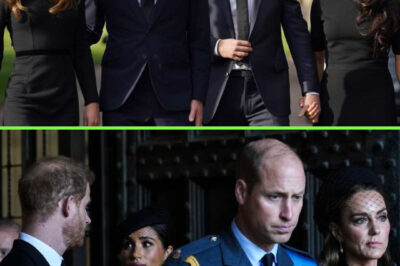 ROYAL RIFT — Ex-Butler Claims ‘Something Must Have Happened’ Before Harry & Meghan’s Exit Shattered the ‘Fab Four’