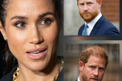 Prince Harry And Meghan Markle Reportedly Prepare To Sue The Monarchy As Title Crisis Deepens Following Prince Andrew Fallout