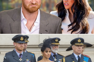 Meghan yes, Harry no: Do this couple deserve to be stripped of their noble royal titles just like Uncle Andrew?