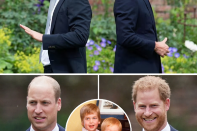 Harry is still waiting for the moment to ‘judge’ his brother, refusing to back down until every old grievance is laid bare!