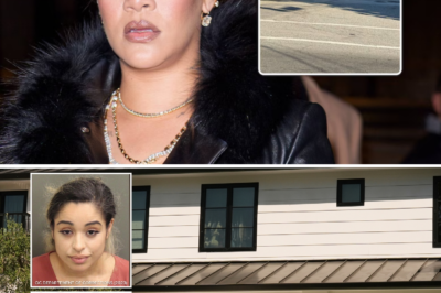 Motive and traces of hostility: The investigation into the sh00ter who targeted Rihanna’s home