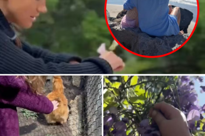 Meghan posted then quickly deleted photos of little Princess Lilibet at the family’s chicken coop, but it was enough to spark a media storm