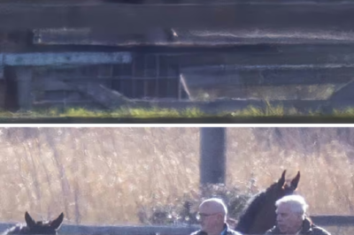 Defiance: Andrew has just acted with shocking nonchalance in the face of the Palace ban