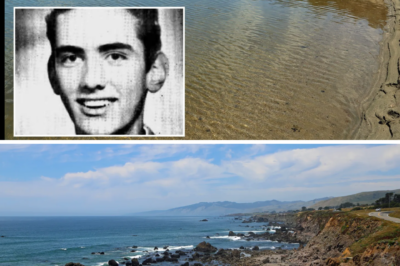 A 30-Year Mystery Solved: Remains Found on California Beach Reveal the Fate of Missing Former Banker