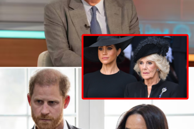 “Lack of original talent and suffocating self-importance”: Royal author Tom Bower hits back after Harry and Meghan brand him ‘deranged’