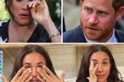 No words left for them: Meghan and Harry heavily criticized for constantly playing the victim in their own boring story