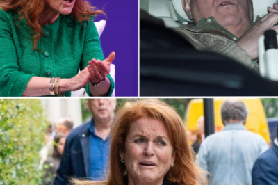 JUST IN: Sarah Ferguson has just been dealt another humiliating blow as she pays the price for her past misdeeds
