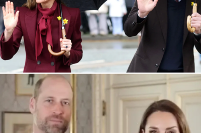 “Wales is very close to our hearts”: Princess Kate wins over the media with her heartfelt speech