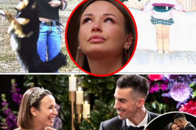 Stella’s Unfinished Symphony: A Fatherless Past and the Psychological Barriers to Finding Her ‘Forever Person’