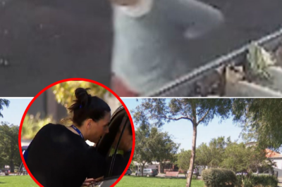 St@bbed three times while on his morning walk in a Melbourne park, the 71-year-old man still managed to run for help