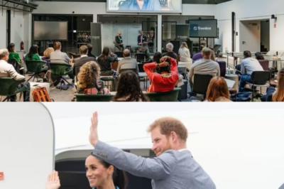 Harry justifies his use of private jets while advising the world to live green