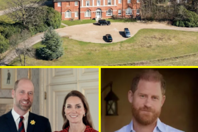 “THE HIDDEN REASON?” – Why William and Kate Refused to Film Inside Forest Lodge