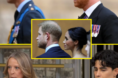 ROYAL RIFT DRAMA: HARRY ‘DESPERATE TO REACH WILLIAM’ AS CALLS GO UNANSWERED