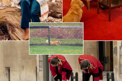ROYAL CORGIS SPOTTED — Muick and Sandy Seen Near Prince Andrew’s Home in New Photos