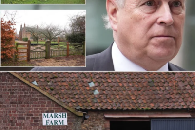 ROYAL RETURN? — Andrew Mountbatten-Windsor’s New Home Gets Luxury Upgrade Ahead of Move