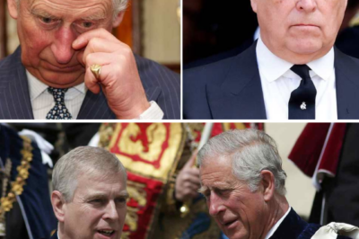 ROYAL SHOCK CLAIM Expert Warns Palace May Be ‘Complicit in Perverting Justice’ Over Prince Andrew — Calls on King Charles III to Step Down