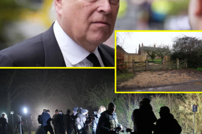 ROYAL ROW — Andrew Mountbatten-Windsor Hit by Bizarre “Manure Convoy” Near New Home