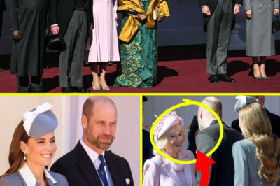ROYAL DIFFERENCE — Catherine, Princess of Wales BOWS, But Prince William BREAKS THE RULE Before Queen Camilla