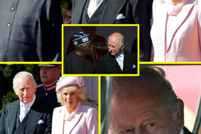 THERE’S REAL CAUSE FOR CONCERN… — Experts Raise Questions Over King Charles’ Latest Appearance