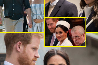 THEY’RE WALKING STRAIGHT INTO A STORM…”— Harry & Meghan Warned Ahead Of Australia Tour