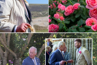 A RULE BROKEN… FOR ONLY THE SECOND TIME EVER— King Charles Sparks Historic Change