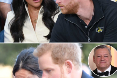 NETFLIX DRAMA — CEO Reportedly Warned Over Harry & Meghan Deal 👀