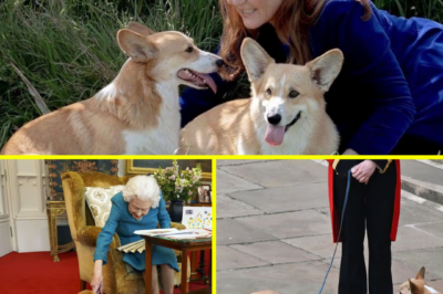 ROYAL CONTROVERSY — Sarah Ferguson’s “Shocking Idea” About Queen Elizabeth II’s Corgis Sparks Backlash