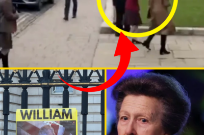 ROYAL DRAMA — Princess Anne Heckled Over Prince Andrew as Tensions Spill Into Public at University of Oxford