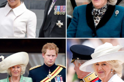 ROYAL CLAIM EXPLODES… — Expert breaks down Queen Camilla’s alleged ‘brainwashing’ remark about Prince Harry & Meghan Markle