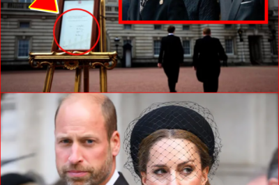 ALERT — The announcement dropped without warning. No buildup. No time to process