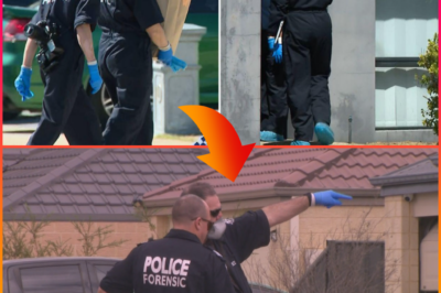 “A FRIEND… OR SOMETHING ELSE?” — Twist in Banksia Grove de-ath case as police arrest acquaintance after bizarre discovery