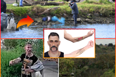D-E-A-D MAN WITH NO NAME: Melbourne baffled as Maribyrnong River victim’s hau:nting tattoos spark urgent manhu:nt for identity