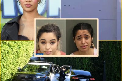 “IT COULD HAVE BEEN A MASSACRE” — Sh00ter at Rihanna’s Home Charged With Attempted Mu-rder — Faces Life in Pris0n