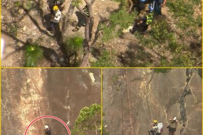 I COULDN’T SAVE HER… — Sister Forced to Watch in H0rr0r as Teen Plunges to Her D3:ath from Mount Beerwah
