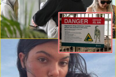 Backpacker trag:edy takes hau:nting twist: Coroner says Piper James drowned after dingo attack on K’gari